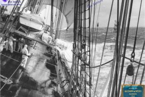 Bricul Mircea - BlohmVoss