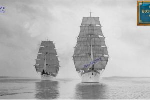 Bricul Mircea - BlohmVoss