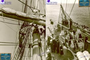 1939, BV - Bricul Mircea - probe