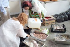 CONTROALE. Alimentele stricate, confiscate de inspectorii DSVSA