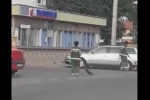 VIDEO. Mai mult plimbat decât măturat. Aşa curăţă angajaţii Florisal