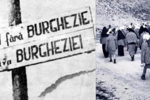 Canalul Dunare-Marea Neagra