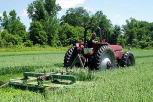 62 de milioane de euro pentru tinerii fermieri şi fermele mici, de la 1 august