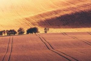 România va avea o vară indiană. Ce reprezintă acest fenomen