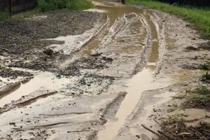 Zilele Oraşului Dolhasca au fost anulate, banii fiind directionati pentru repararea drumurilor ...