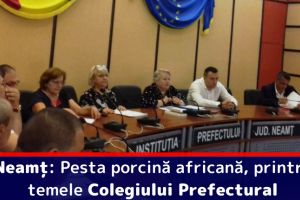 Neamţ: Pesta porcină africană, printre temele Colegiului Prefectural