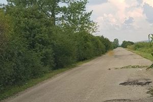 ULUITOR! Ce a crescut în GROPI, pe un drum judeţean (FOTO)