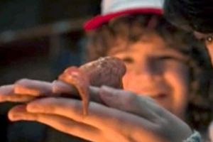 Momente de GROAZĂ pentru o femeie care găsit în curtea casei o CREATURĂ CIUDATĂ. NIMENI nu ştie ce este