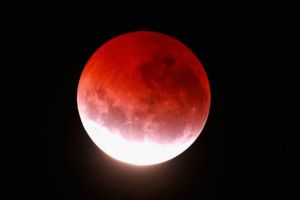 Video: Eclipsa de Luna, live