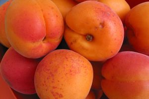 Cura cu caise ajuta la rarirea, pana la eliminare, a crizelor de guta