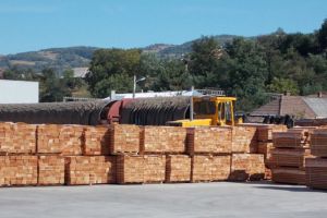 Ce sectoare din industria judeţului au mers bine în prima parte a anului şi care au înregistrat pierderi