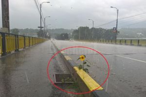 Dan Ioan Cuşnir: Noul simbol electoral al PNL Suceava este „groapa şi floarea-soarelui”