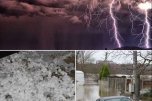 PROGNOZA METEO a verii. 