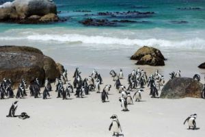 De ce sa te duci la Mamaia si sa cheltui 700 de euro intr-un weekend cand ai 10 alternative mai ieftine!