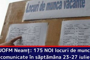AJOFM Neamţ: 175 NOI locuri de muncă, comunicate în săptămâna 23-27 iulie