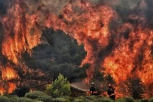 Bilantul incendiilor devastatoare din Grecia a ajuns la 88 de morti