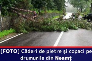 [FOTO] Căderi de pietre şi copaci pe drumurile din Neamţ