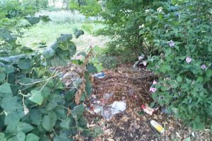 Asociatia Verde Urban acuza Primaria de subiectivism. Proprietarii de terenuri neingrijite de pe bulevardul Lapusneanu nu sunt amendati!