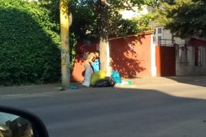 Amenzi aplicate de Politia Locala pentru respectarea climatului de curatenie si disciplina in municipiul Constanta!