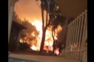 Și-a riscat viaţa ca să-şi salveze pisica din incendiile din Grecia