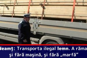 Neamţ: Transporta ilegal lemn. A rămas şi fără maşină, şi fără „marfă”