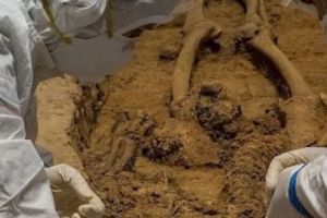 Descoperire FANTASTICĂ! A fost găsit scheletul unui politician decapitat