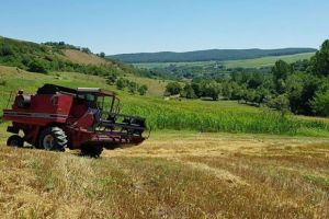 AFIR a publicat versiunile finale ale Ghidului solicitantului pentru investiţii agricole finanţate prin PNDR 2020