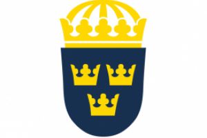 Oficial de la Ambasada Suediei la Bucuresti despre numerele de inmatriculare personalizate. Unde se poate circula cu astfel de placute de inmatriculare