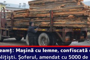 Neamţ: Maşină cu lemne, confiscată de poliţişti. Șoferul, amendat cu 5000 de lei