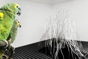 Ultima întâlnire din cadrul Minitremu Artist Talks and Presentations