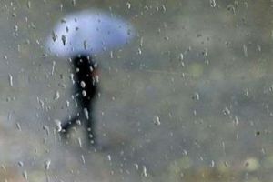 Asigurările obligatorii, apă de… ploaie!