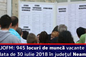 AJOFM: 945 locuri de muncă vacante la data de 30 iulie 2018 în judeţul Neamţ