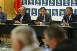 Surse – Liberalii au votat modificarea statutului PNL. Șefii de filiale pot fi daţi jos mai uşor din funcţie