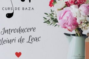 Introducere în uleiuri de leac