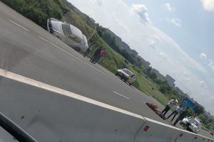 FOTO – Cal omorât de o maşină pe DN1. L-a lovit în plin