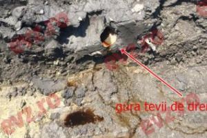 Consiliul Judeţean Cluj ”îngroapă” încă CINCI milioane de euro în eşecul de la Pata Rât