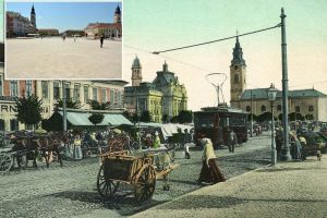 Grădina din Piaţă: Piaţa Unirii ar putea să găzduiască la sfârşit de săptămână producătorii bio din judeţ