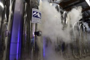 ULUITOR! Premieră MONDIALĂ. Cercetătorii i-au READUS la VIAȚĂ după 42.000 de ani. Începe o NOUĂ ERĂ