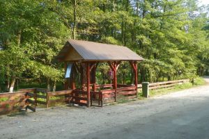 Prin Ţara Jiului de Sus, În lumea „Apei Vi”