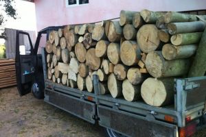 Tulgheşean prins cu 6 mc de lemne fără acte