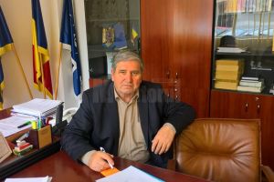 Porcii fără documente veterinare, transportaţi pe raza judeţului Suceava, se confiscă, se ...