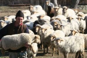 UN NOU PERICOL la graniţa României. Există O SINGURĂ SOLUȚIE. Se cer demisii la nivel înalt. News alert