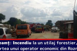 Neamţ: Incendiu la un utilaj forestier, în curtea unui operator economic din Roznov