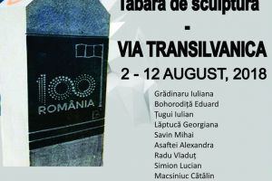 10 studenţi la Arte vor realiza peste 100 de borne pentru Via Transilvanica