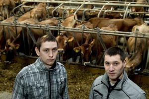 Fermele britanice riscă falimentul, pentru că românii nu vor mai veni după Brexit