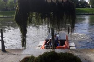 Peste 30 de tone de vegetaţie colectate de pe Someşul Mic, la Cluj