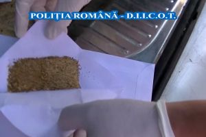 Columbian cu marujana în avion – A venit în România ca să meargă la Untold