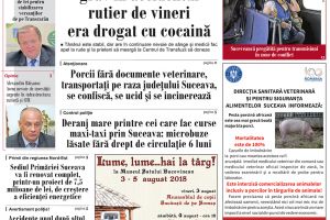 Valerian Solovăstru a accidentat mortal o fată de 12 ani, pe trecerea de pietoni