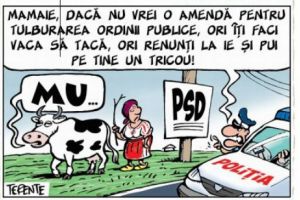 Părerea lui Terente