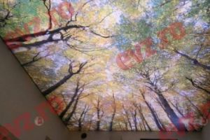 Picturile 3D. Acum poţi să atingi cerul la tine acasă